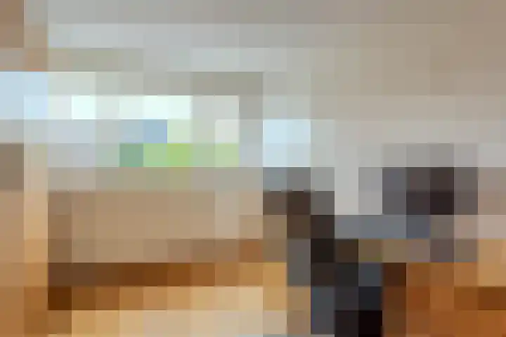 Hooiland 18 Geldrop thumbnail 26