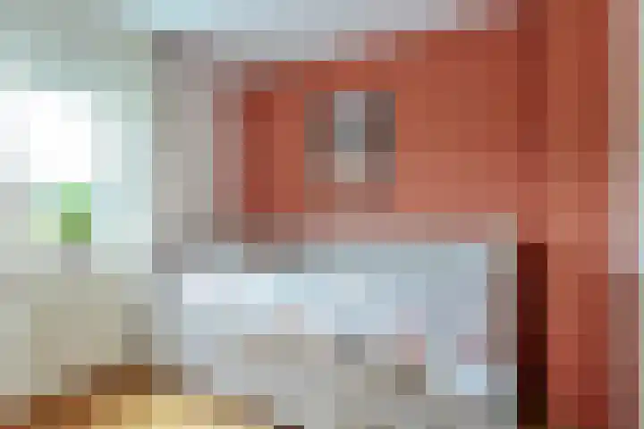 Hooiland 18 Geldrop thumbnail 29