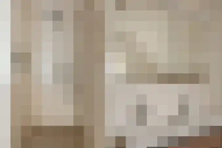 Hooiland 18 Geldrop thumbnail 33