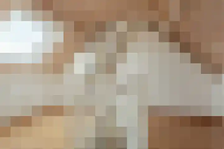 Hooiland 18 Geldrop thumbnail 35