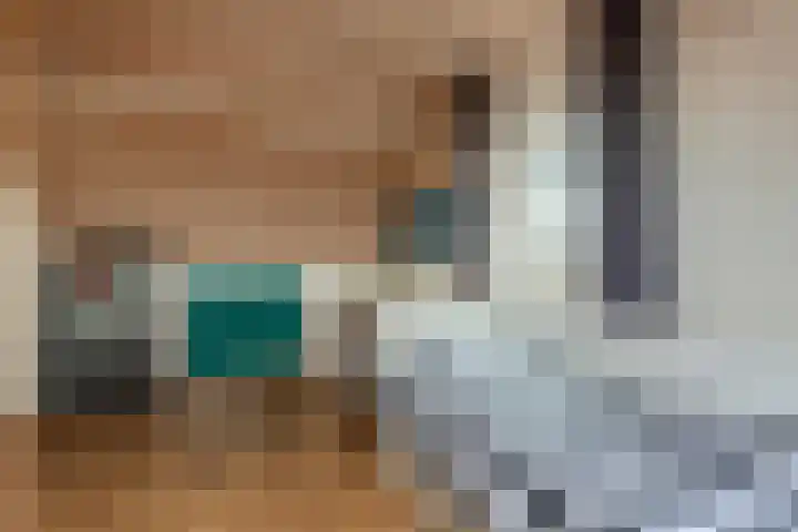 Hooiland 18 Geldrop thumbnail 39