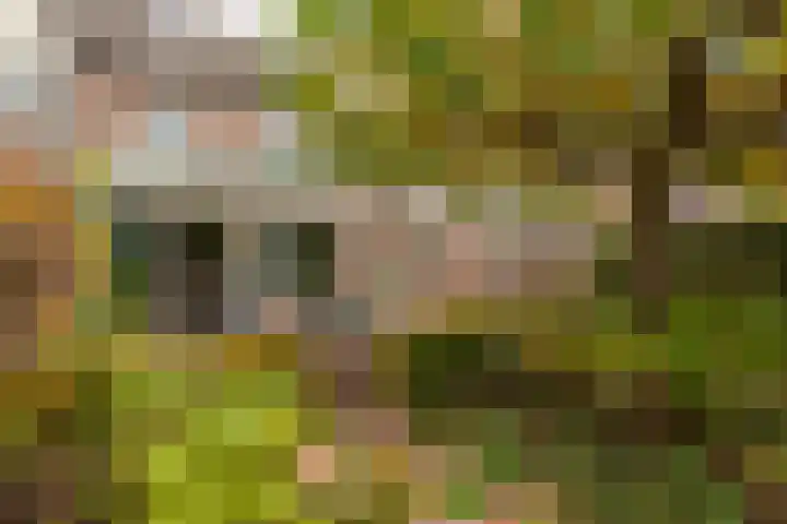 Hooiland 18 Geldrop thumbnail 4