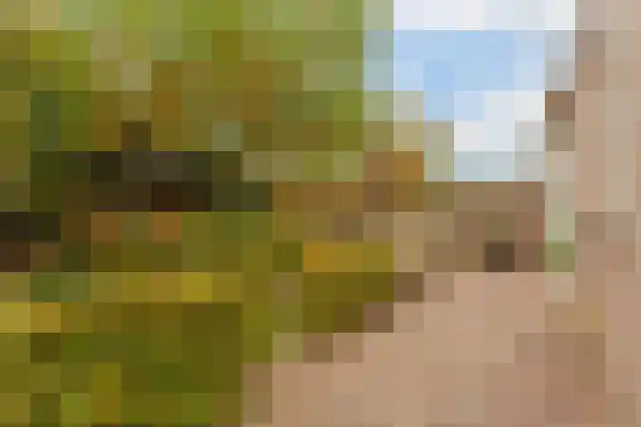 Hooiland 18 Geldrop thumbnail 42