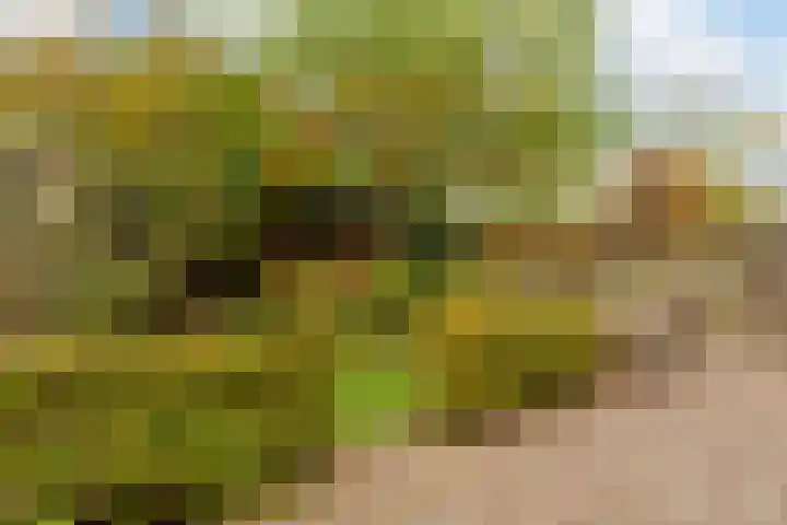 Hooiland 18 Geldrop thumbnail 43