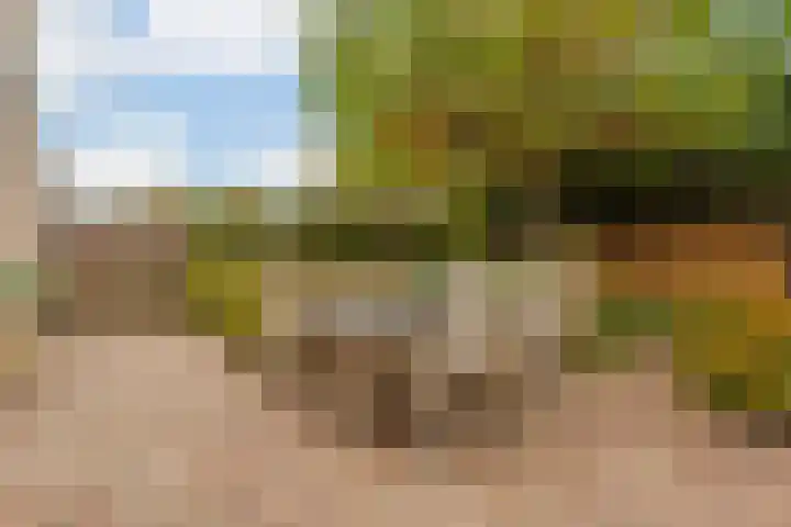 Hooiland 18 Geldrop thumbnail 44
