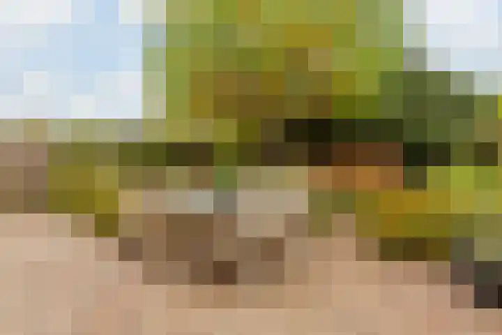 Hooiland 18 Geldrop thumbnail 45