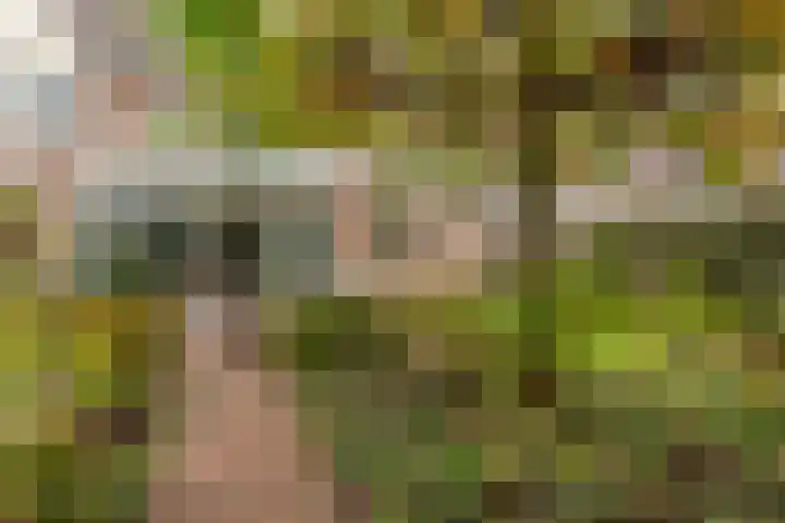 Hooiland 18 Geldrop thumbnail 46