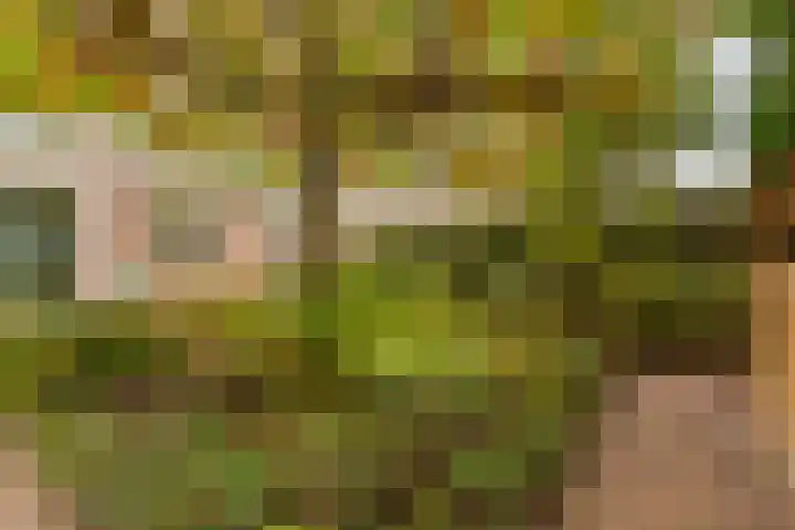 Hooiland 18 Geldrop thumbnail 47