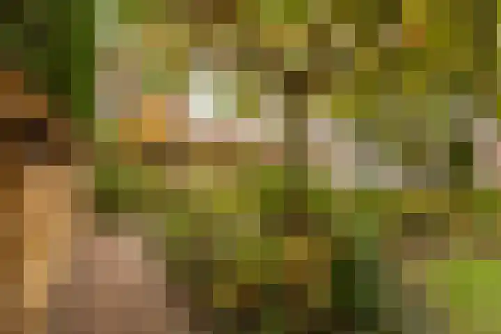 Hooiland 18 Geldrop thumbnail 48