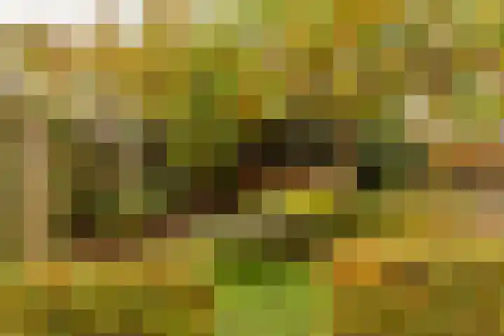 Hooiland 18 Geldrop thumbnail 51
