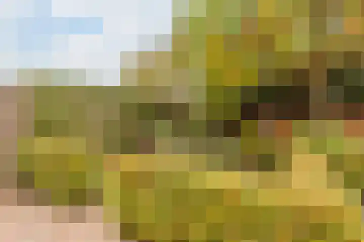 Hooiland 18 Geldrop thumbnail 52