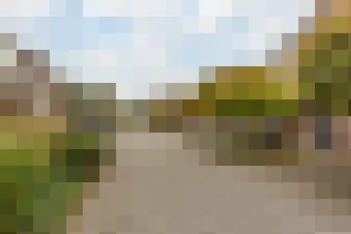 Hooiland 18 Geldrop thumbnail 54