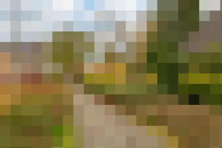 Hooiland 18 Geldrop thumbnail 55