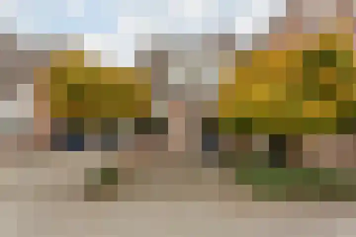 Hooiland 18 Geldrop thumbnail 6