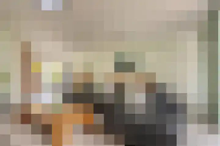 Hooiland 18 Geldrop thumbnail 8
