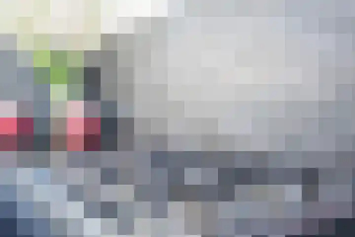 Hooiland 2 Geldrop thumbnail 10