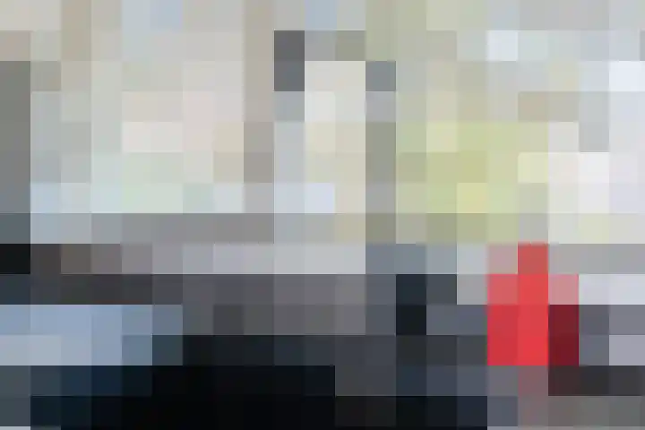 Hooiland 2 Geldrop thumbnail 11