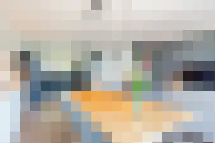 Hooiland 2 Geldrop thumbnail 14