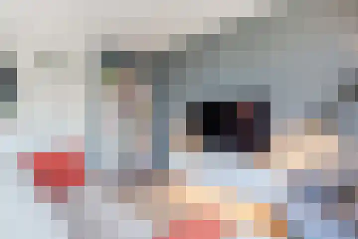 Hooiland 2 Geldrop thumbnail 15