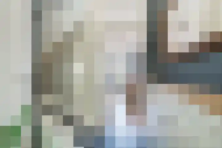 Hooiland 2 Geldrop thumbnail 18