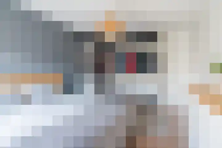 Hooiland 2 Geldrop thumbnail 20