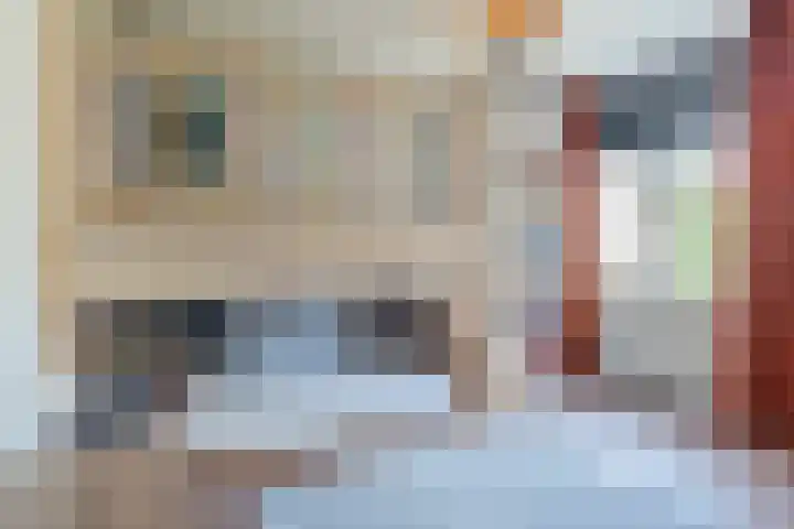 Hooiland 2 Geldrop thumbnail 21