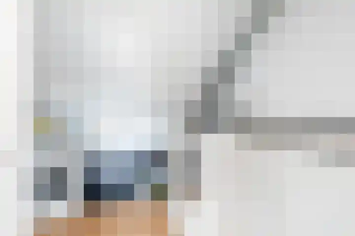 Hooiland 2 Geldrop thumbnail 29
