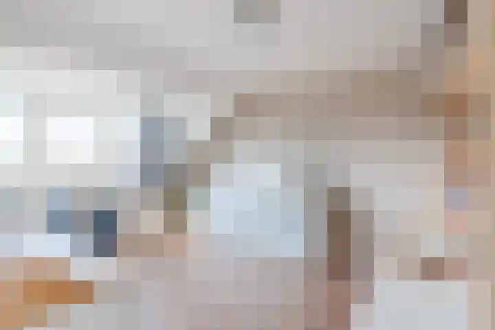 Hooiland 2 Geldrop thumbnail 30