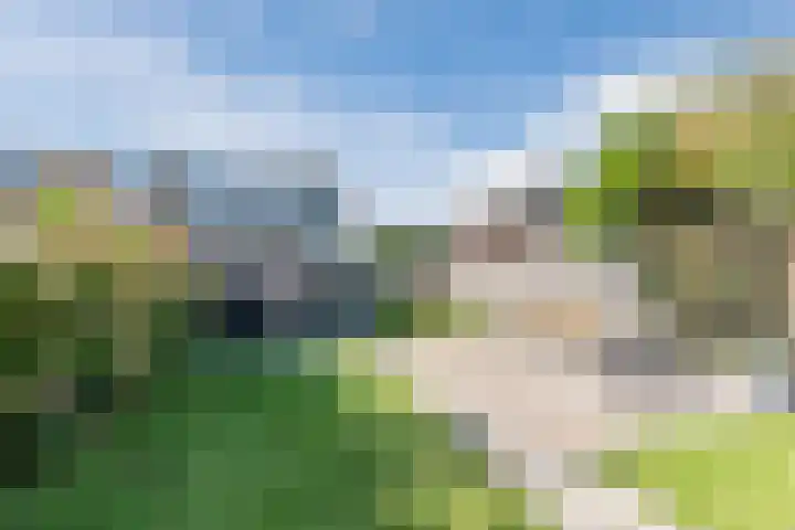Hooiland 2 Geldrop thumbnail 38