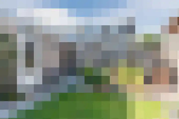 Hooiland 2 Geldrop thumbnail 40