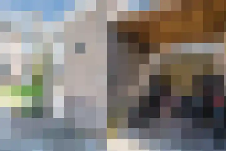 Hooiland 2 Geldrop thumbnail 41