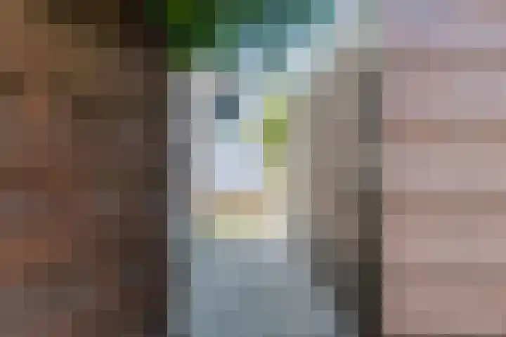 Hooiland 2 Geldrop thumbnail 42