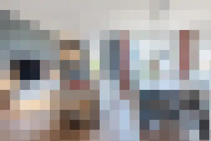 Hooiland 2 Geldrop thumbnail 5