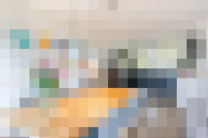 Hooiland 2 Geldrop thumbnail 7