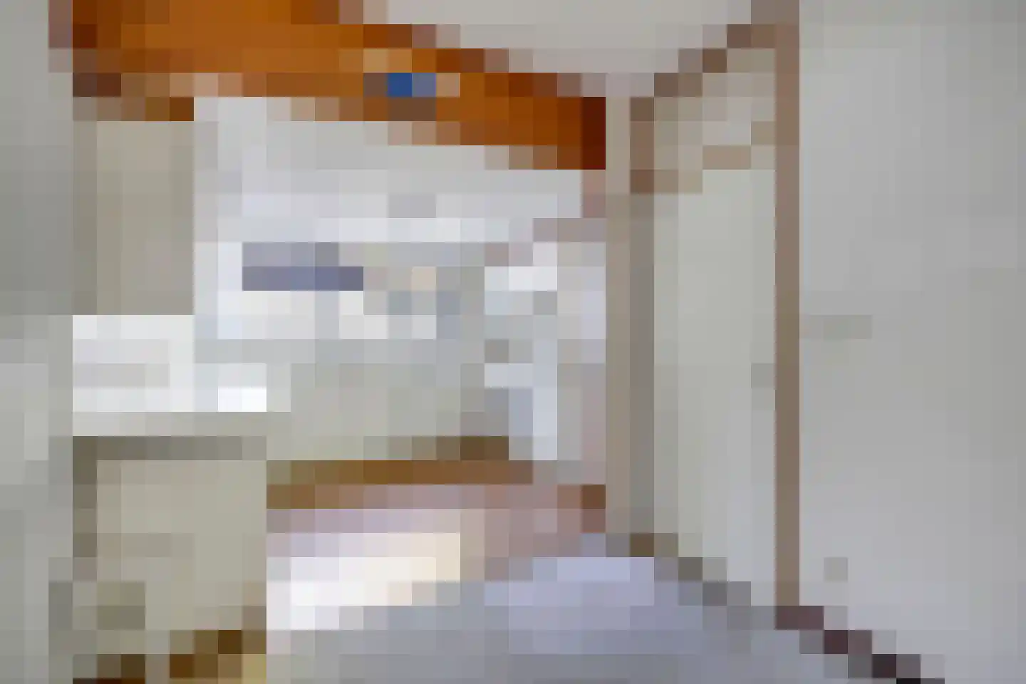 Hooiland 20 Schiedam thumbnail 14