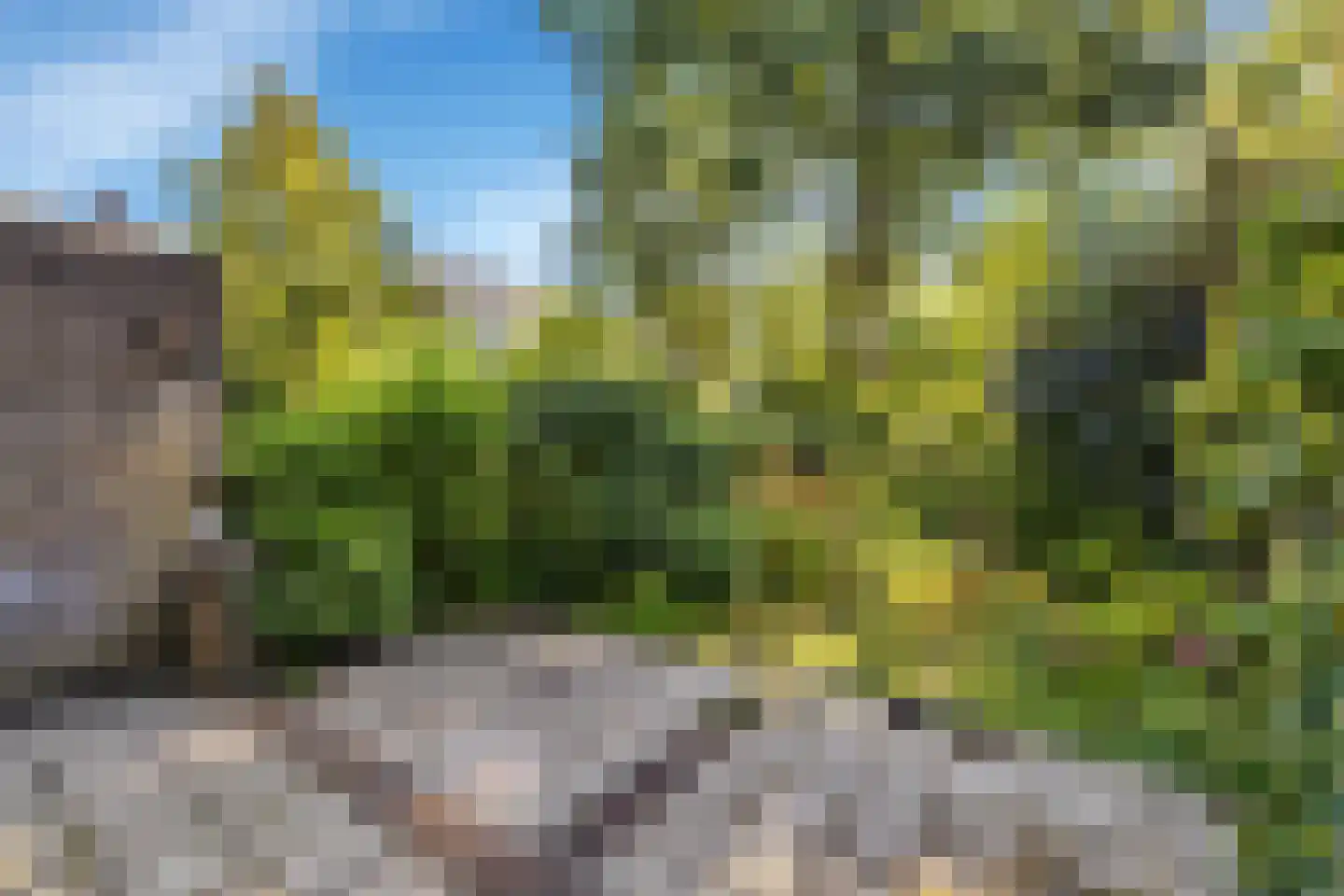Hooiland 20 Schiedam thumbnail 16
