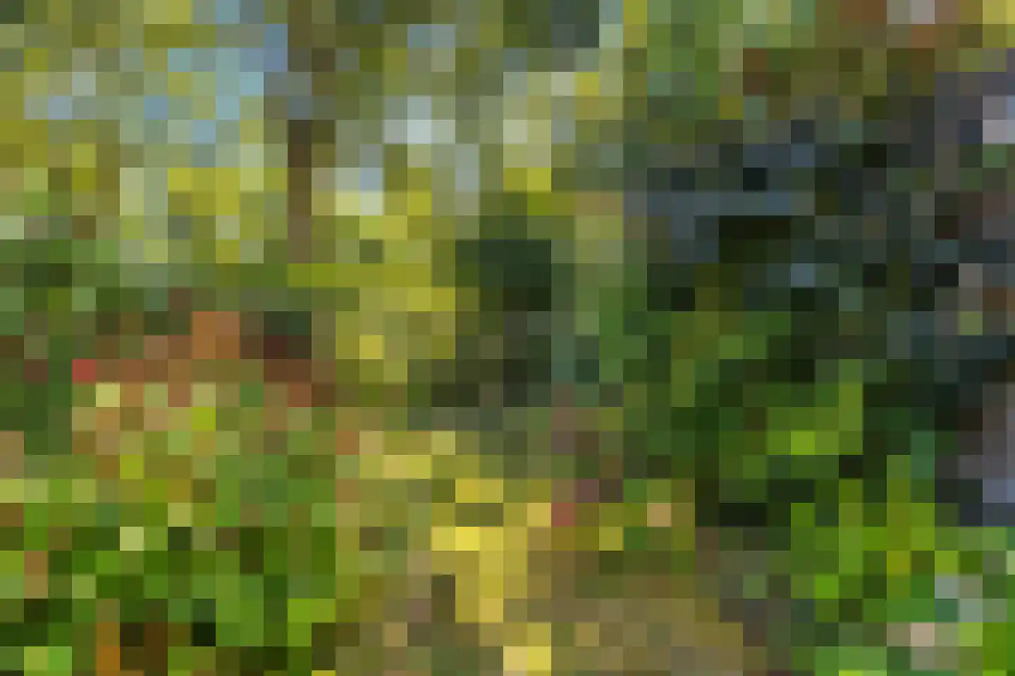 Hooiland 20 Schiedam thumbnail 17