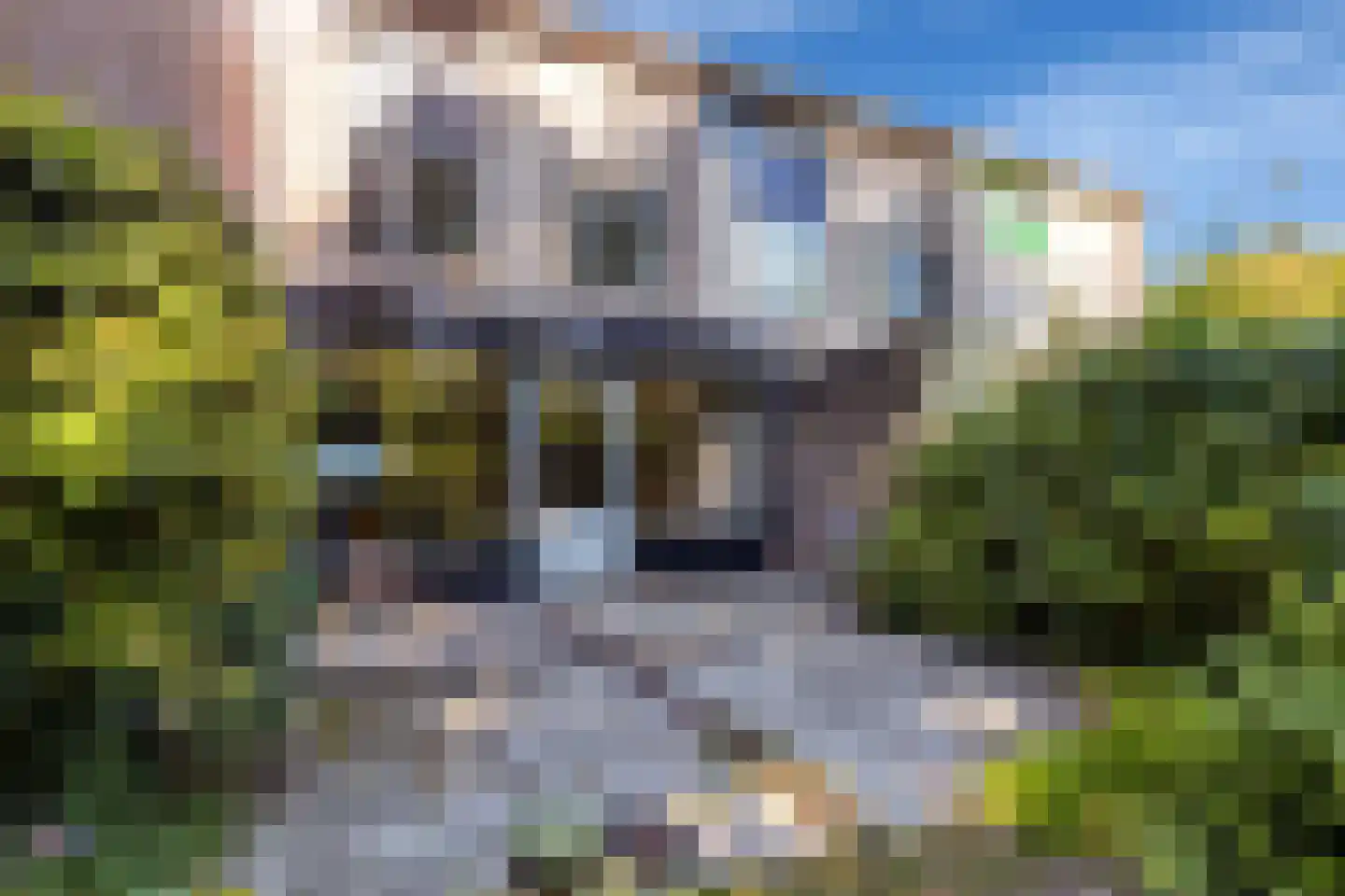 Hooiland 20 Schiedam thumbnail 20