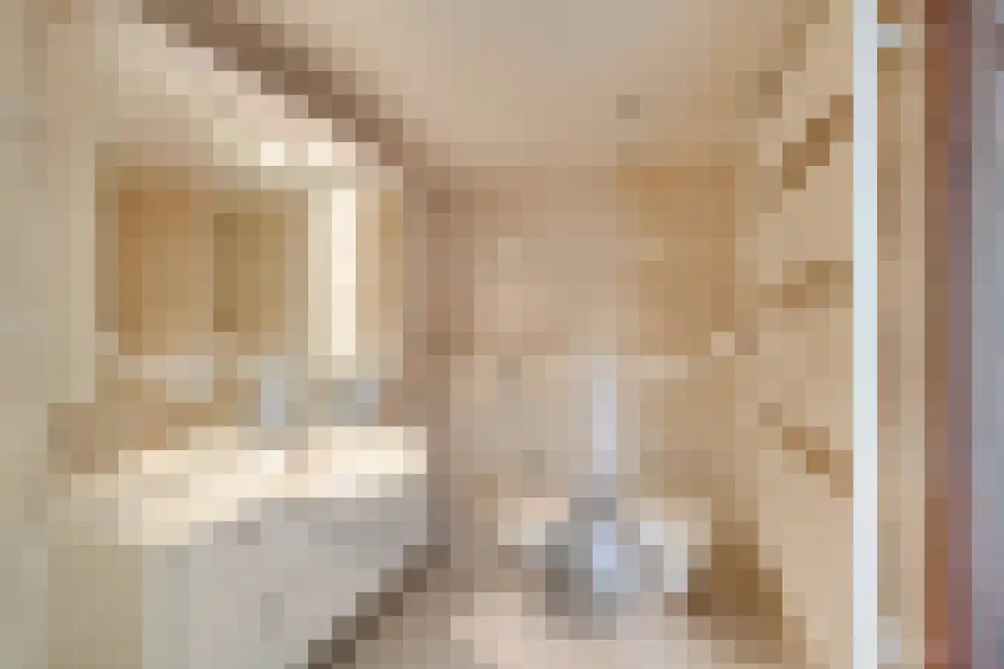 Hooiland 20 Schiedam thumbnail 29