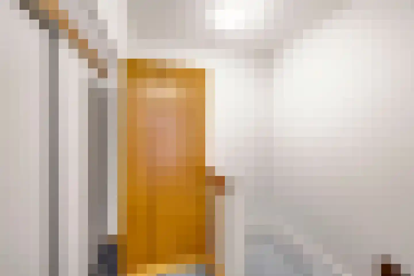 Hooiland 20 Schiedam thumbnail 31