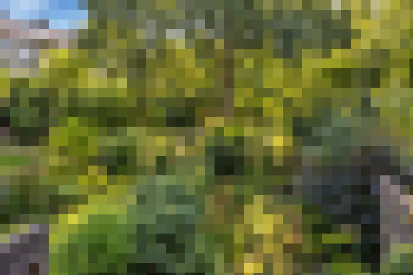 Hooiland 20 Schiedam thumbnail 36
