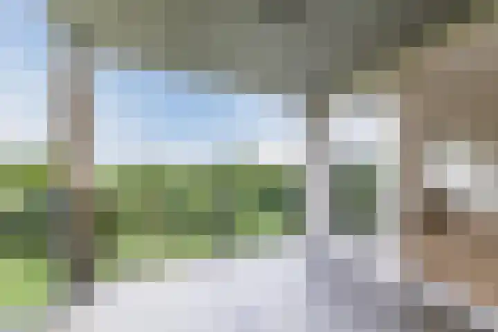 Hooiland 25 Drachten thumbnail 12