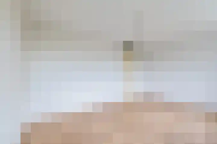 Hooiland 25 Drachten thumbnail 19