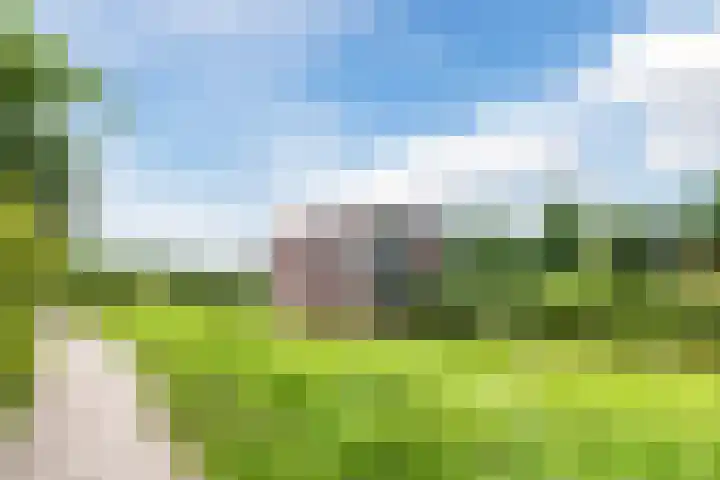 Hooiland 25 Drachten thumbnail 30