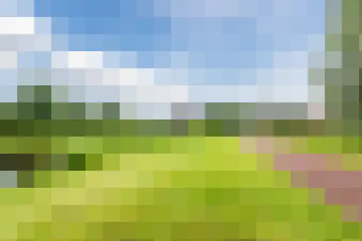 Hooiland 25 Drachten thumbnail 31