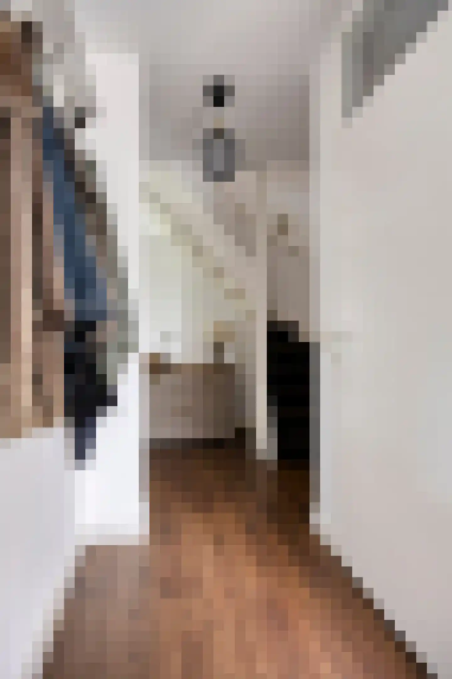 Hooiland 26 Geldrop thumbnail 11