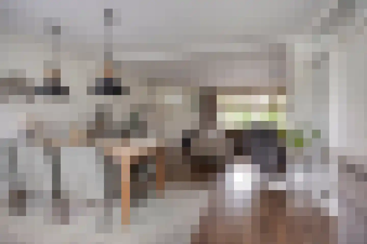 Hooiland 26 Geldrop thumbnail 18