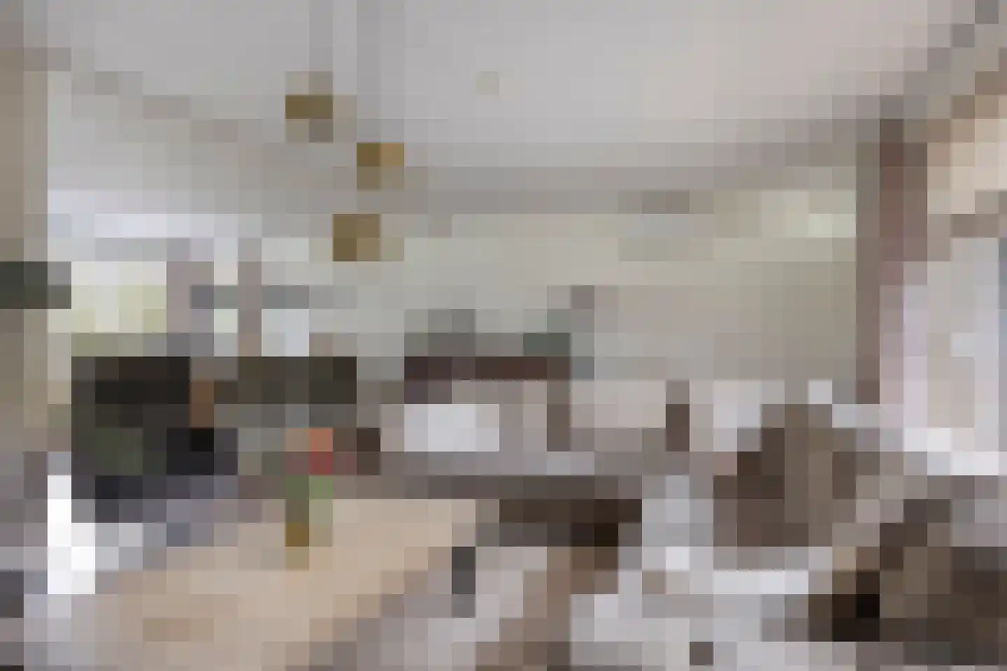 Hooiland 26 Geldrop thumbnail 24