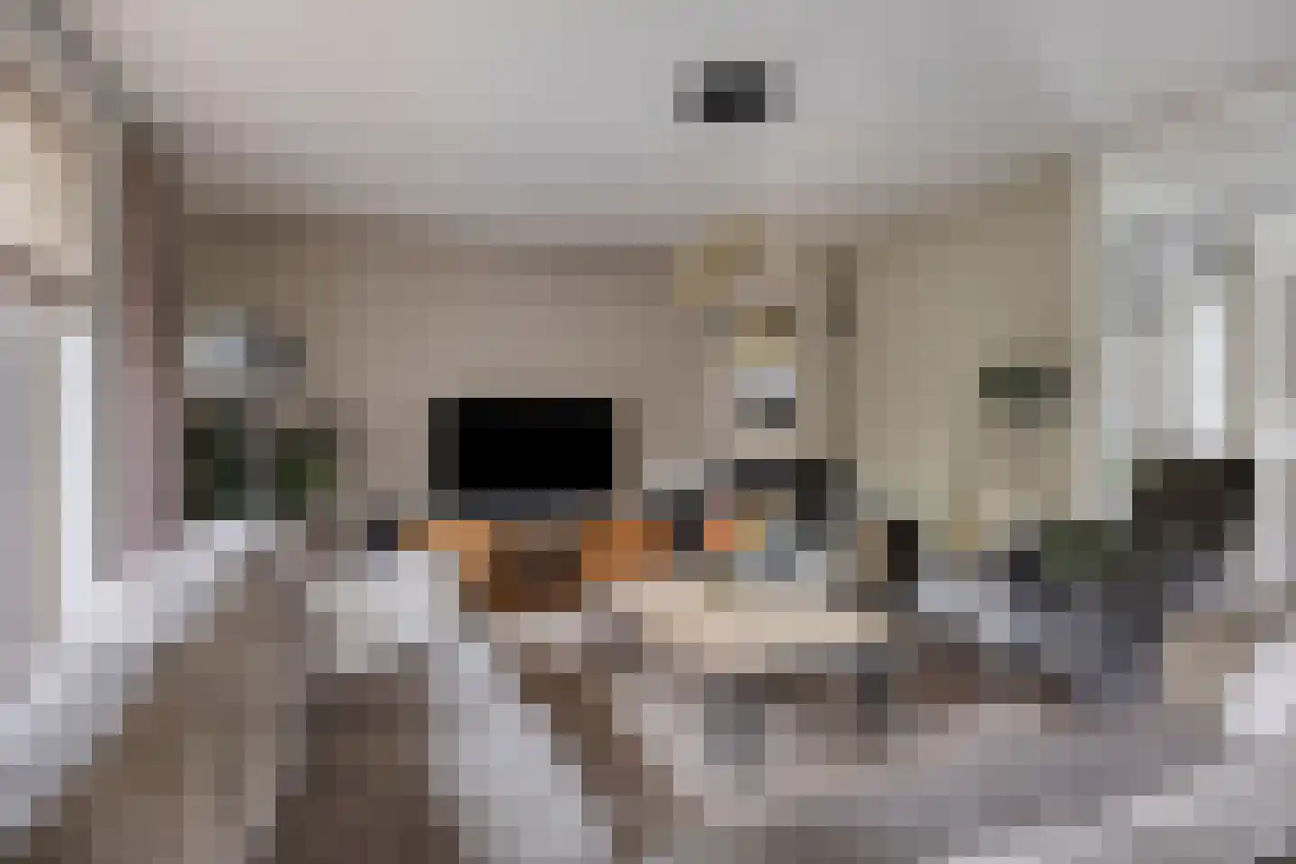 Hooiland 26 Geldrop thumbnail 29