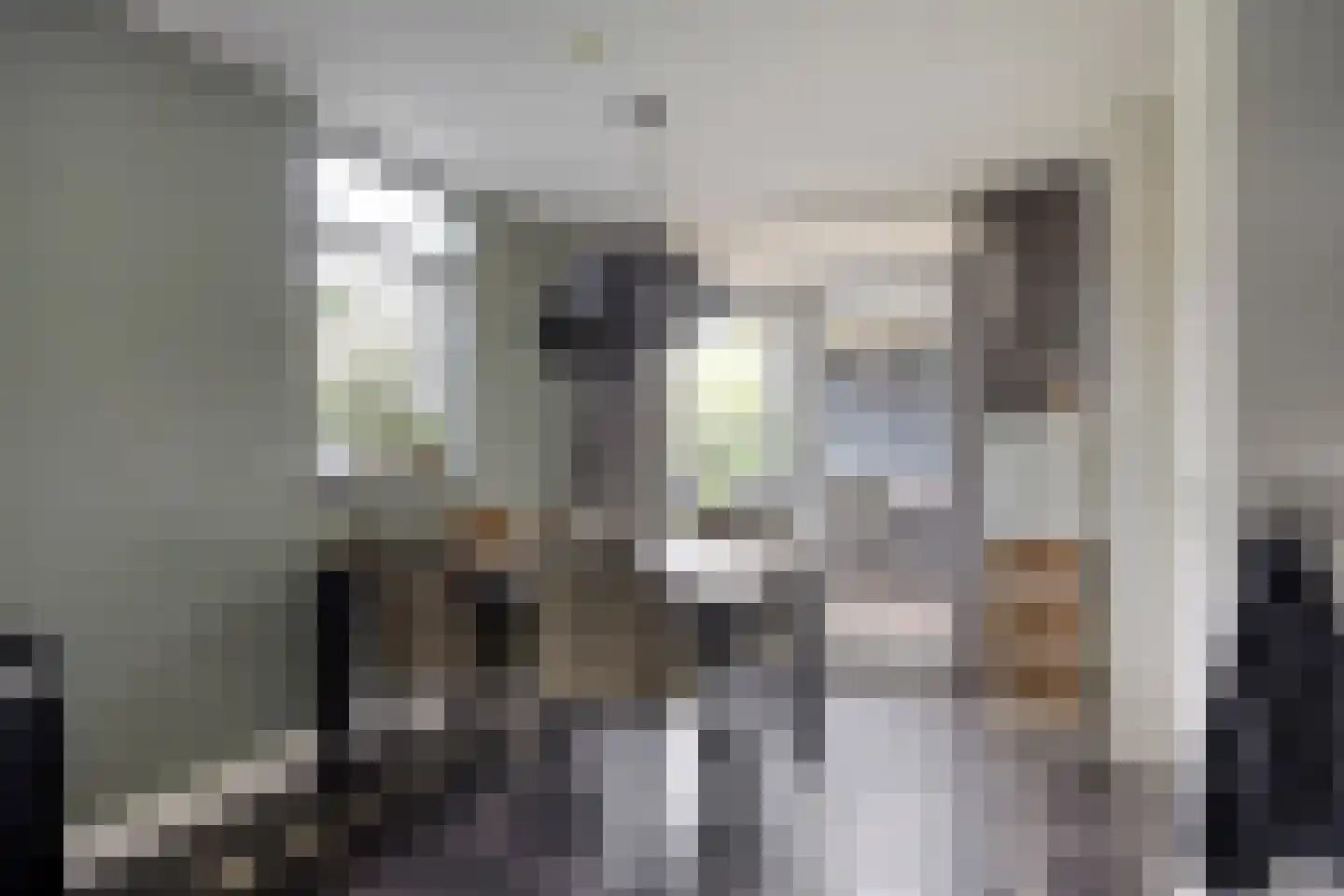 Hooiland 26 Geldrop thumbnail 32